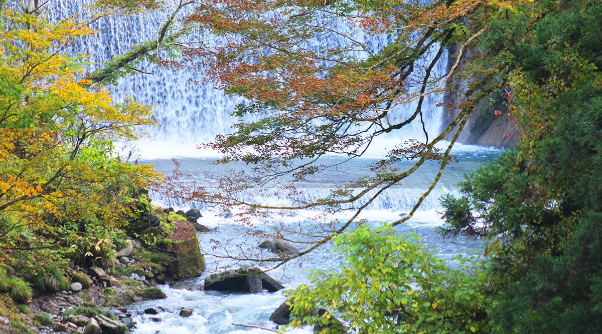 大湯を潤す清流佐梨川